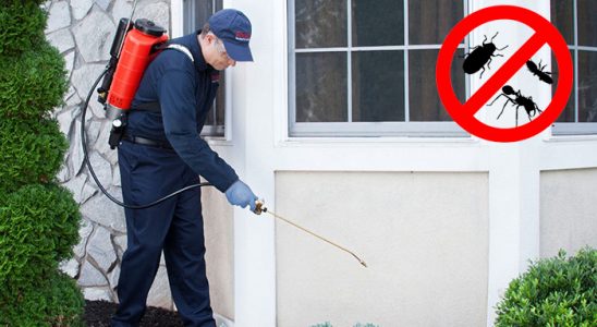 Gündoğmuş Dezenfeksiyon böcek ilaçlama ve haşere kontrolü — ilaclama-tr.com